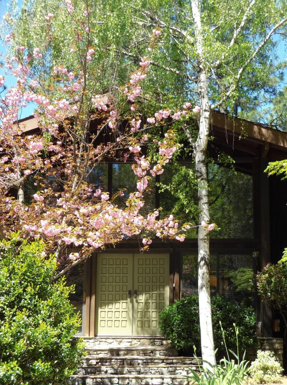 Ponderosa Ridge A B & B Placerville Luaran gambar